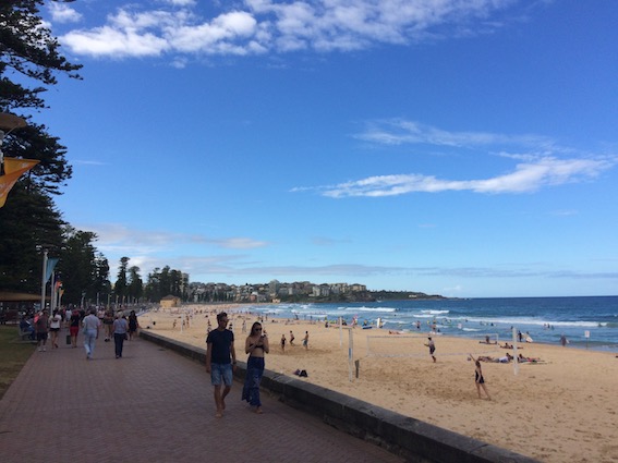 Manly Beach